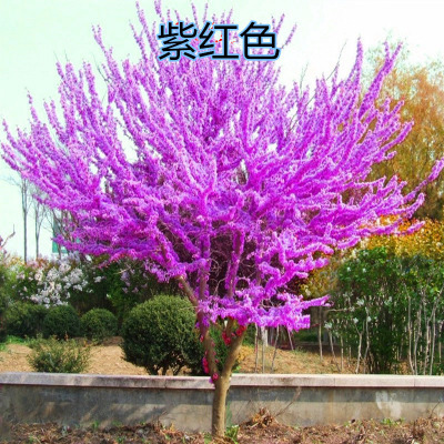 �Ͼ�1-6����