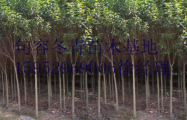 �߸�Ů��