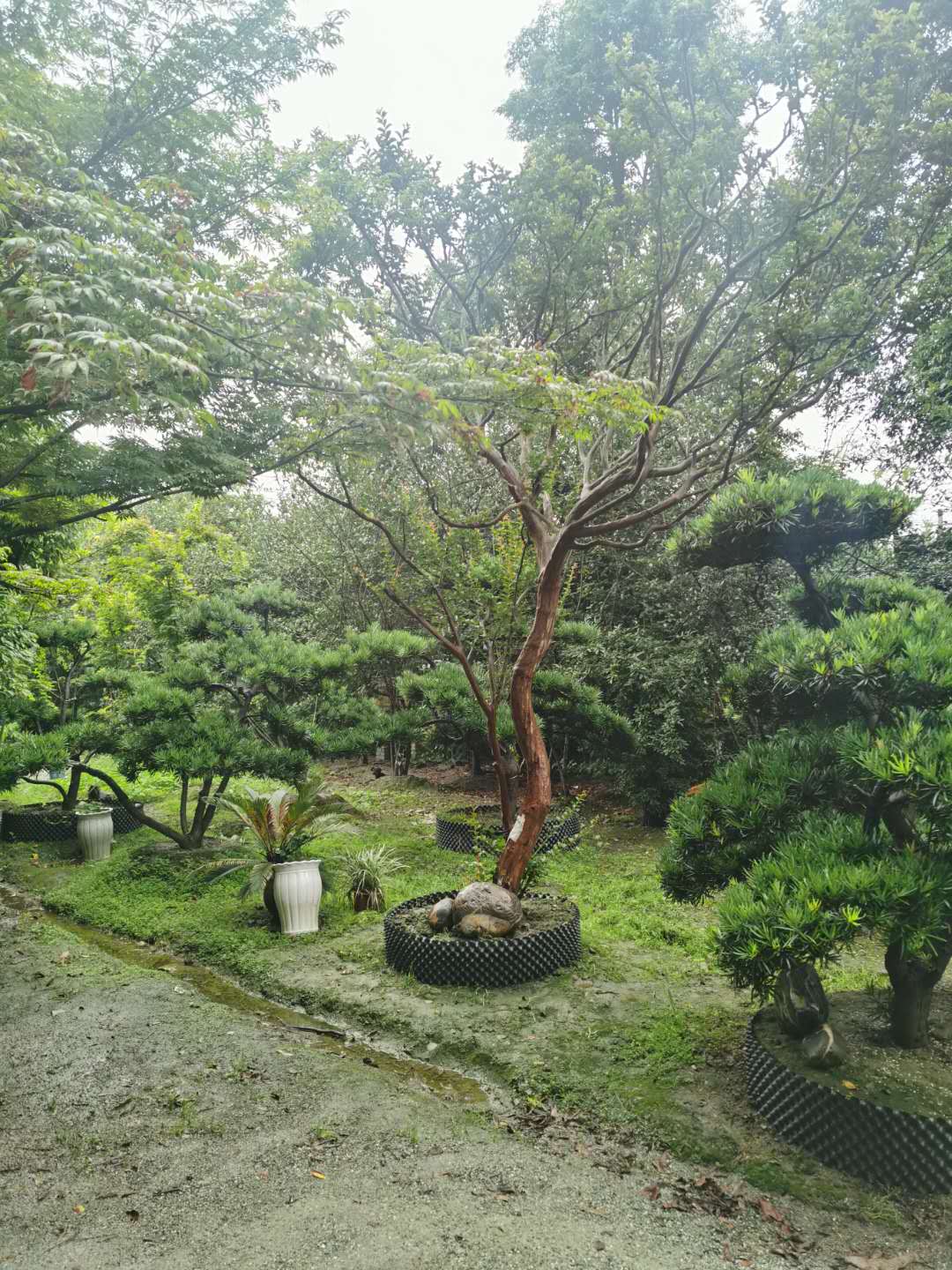 �޺���
