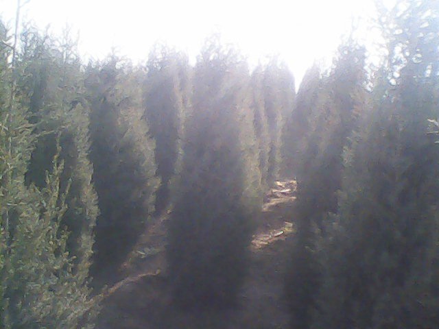 3-4�ױ�������2���