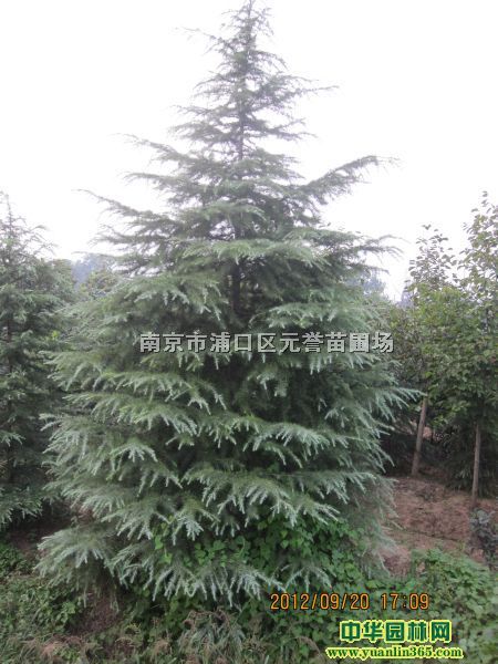 ѩ��7�ס�8�ס�10��