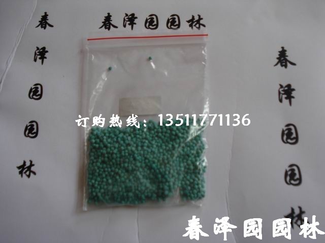 沭阳春泽园绿化苗木场