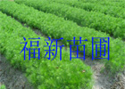 �߶�20������β���硢һ������β�ɴ���