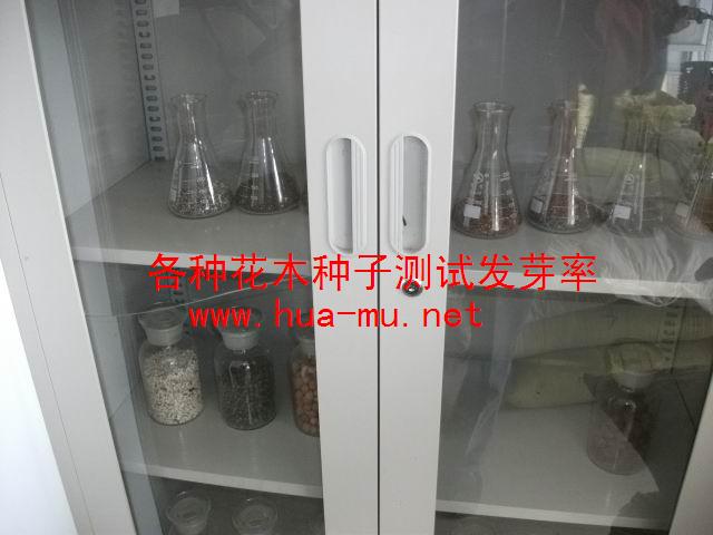 �����ӡ���Ƥ�����ӡ��������ӡ��������ӡ���������