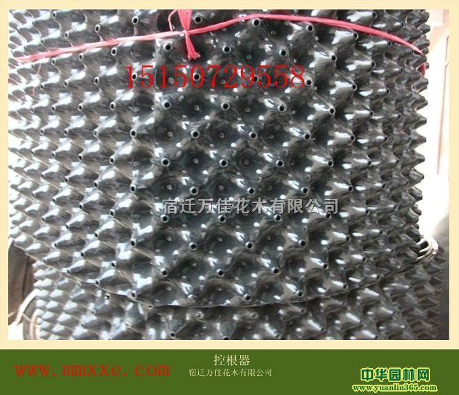 Ӫ���������������޷Ĳ�����ֲ�����ظ�����ֲ����