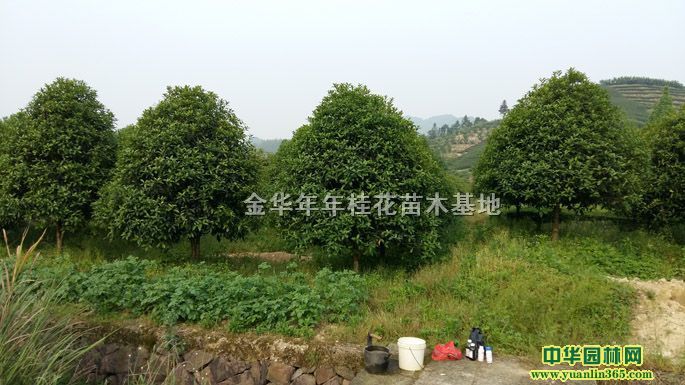 �𻨡���ɰ�𡢽�𡢵����ļ���