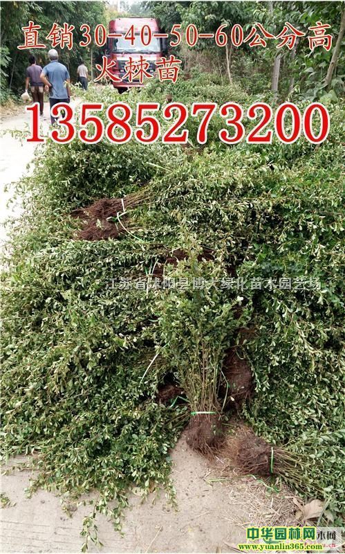 һ��������߶�30-40-50���ֻ���۸�������