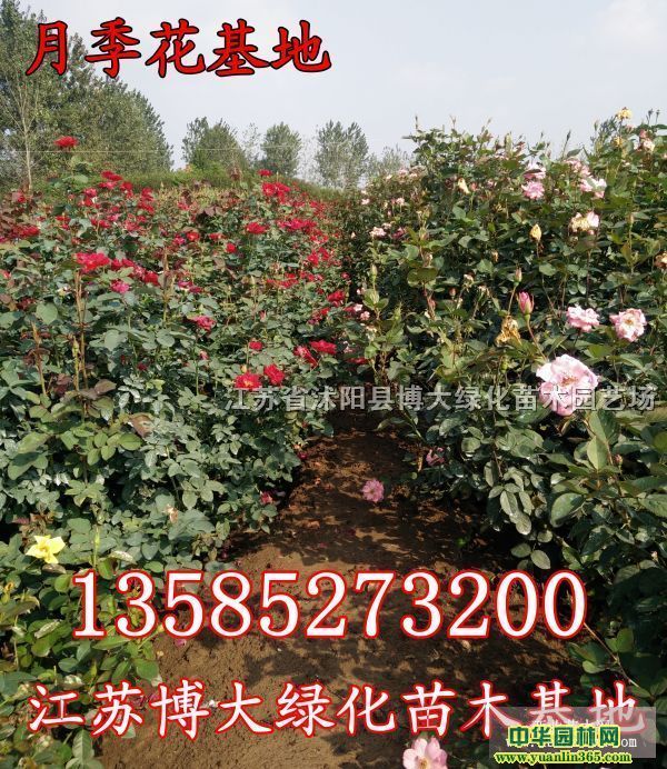 �¼��硢����.�ƴ�õ�硢õ���硢Ǿޱ�硢��ì��.��������