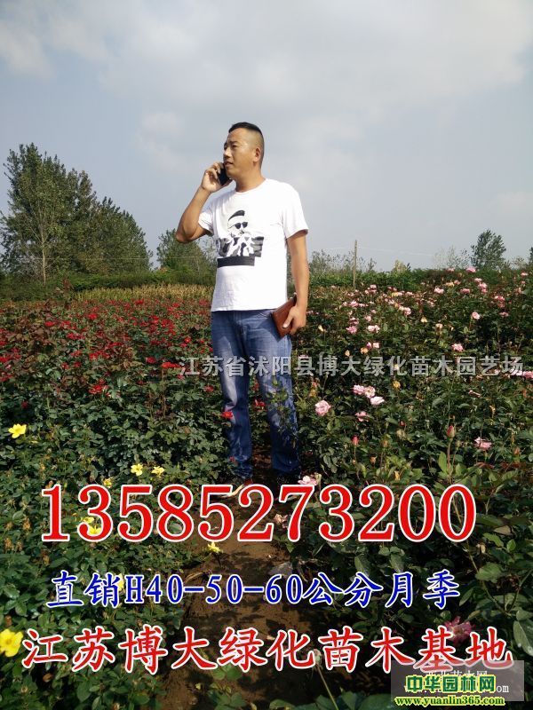 �¼�����߶�30-40-50���ֺ�ñ�¼��۸񡢴��¼�