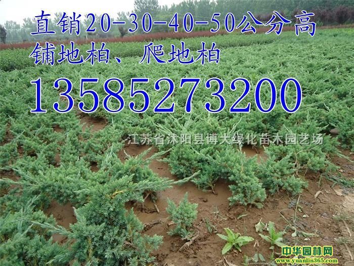 ���ذس���20-30-40-50���֡��̵ذؼ۸�ɳ�ذ�
