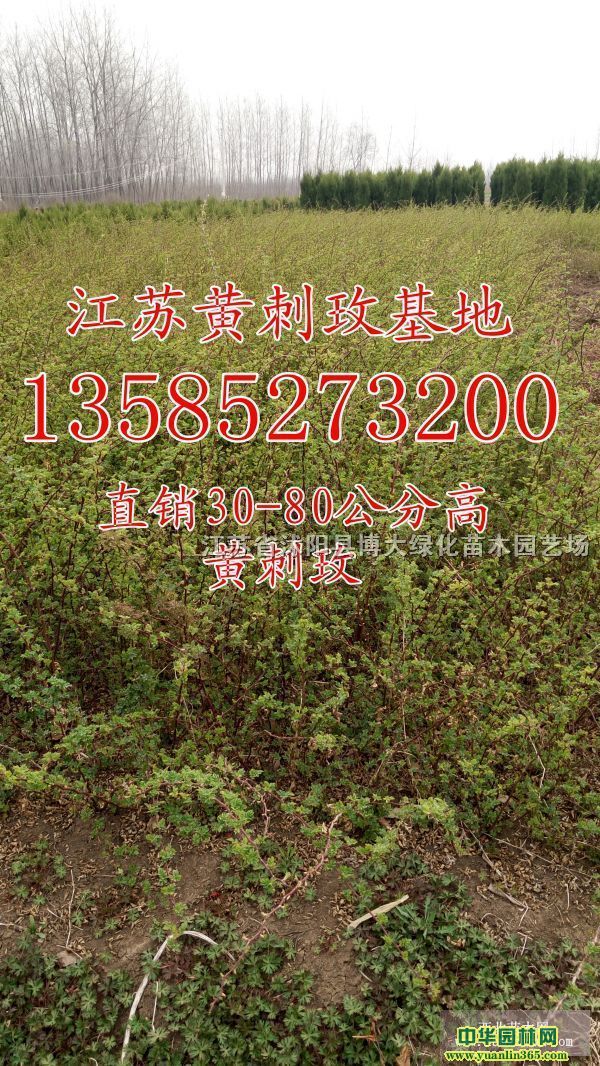 �ƴ�õ�߶�50-60-70-80���ֻƴ�õ����������۸�