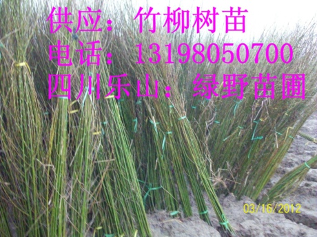 �������硢����