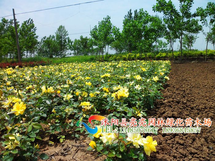 Ǿޱ�硢�¼��硢Ʒ���¼��硢�����硢������