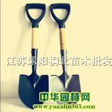 �󻨲�����š�ľ�ֱ������ֱ������¡��������޽ӵ��Ȼ�ľ����