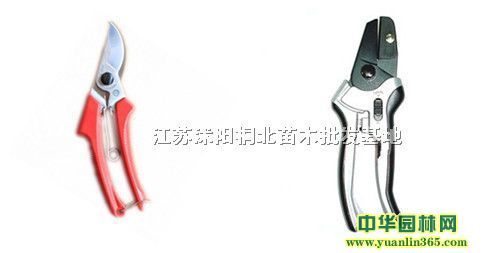 �������������޽ӵ����Ȼ�ľ�޼����ߡ��޽��þ�