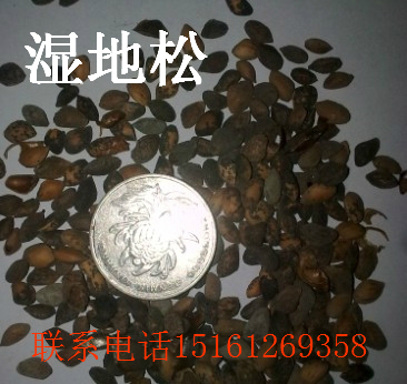 ���ɡ���β�ɡ�ѩ�ɡ��춹ɼ�����������