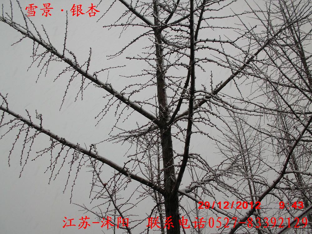 ���ӡ�����������������