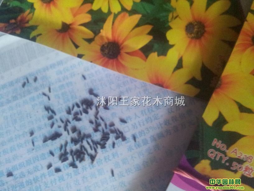 ���ľ����ӡ��ջ����ӡ������������