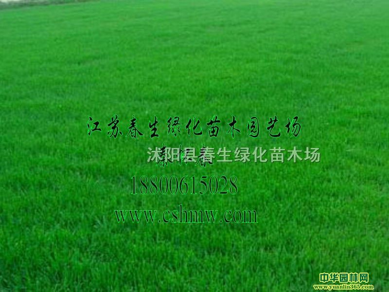 ����é��ƺ���ӡ����²��֡��ļ����Ƥ�����������ѡ�����é����