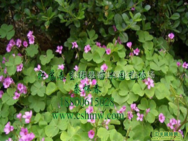 �컨������������컨�m���ݸ���
