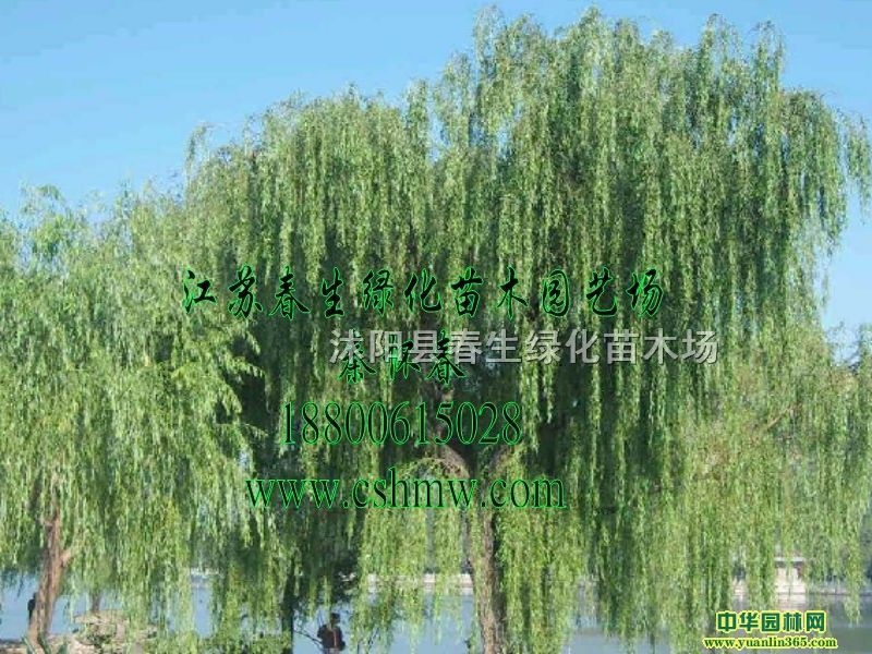 ��˿�������硢����С�硢��Ƥ����������ֱ������Ƥ��������