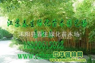 ����������ľ�����������ӡ�����С���񡢸�����԰��