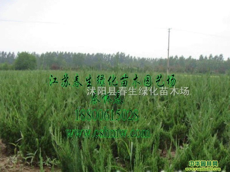 ���ع����硢С���ء�����������ɫ���硢������