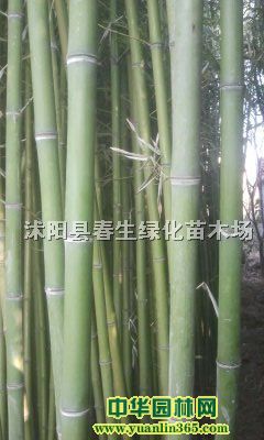 ����С�硢����С�����ӡ�������������