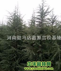 3ѩ