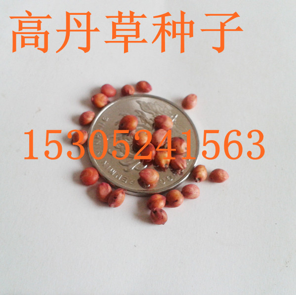 �������ݸߵ�������26Ԫ/��