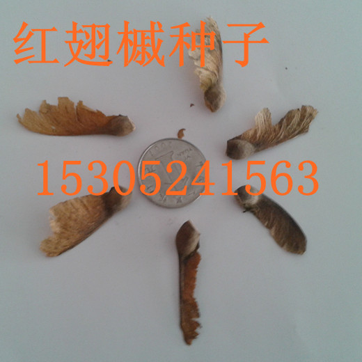 ��������ӡ���˼�����ӡ�������ӡ������������