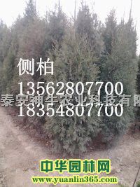 ����硢1�����ϲ����