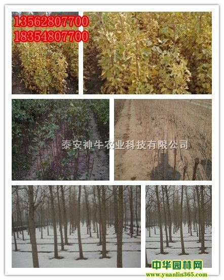 �����硢�������硢��������2��������