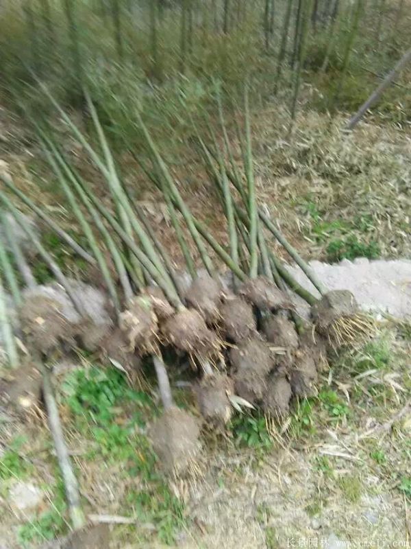 ����