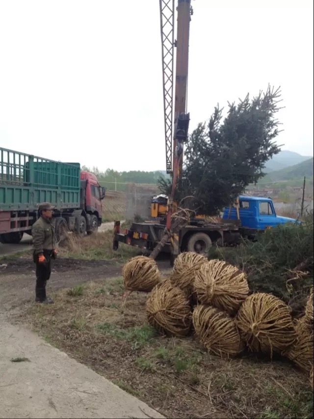 ��ɼ4��-8�ס�������