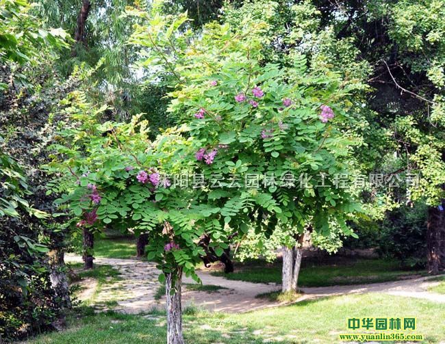 �컨�����컨��С�硢�컨������