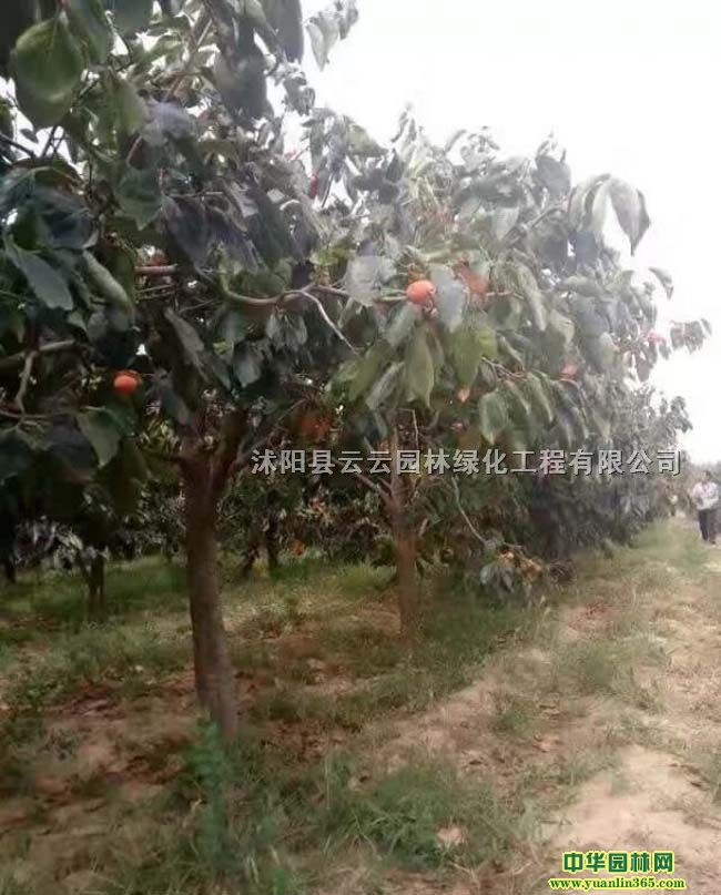 ���������������硢������С��
