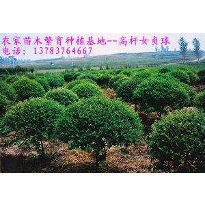 �𼬡�ʯ骡���鵡���ɽ��������÷������÷