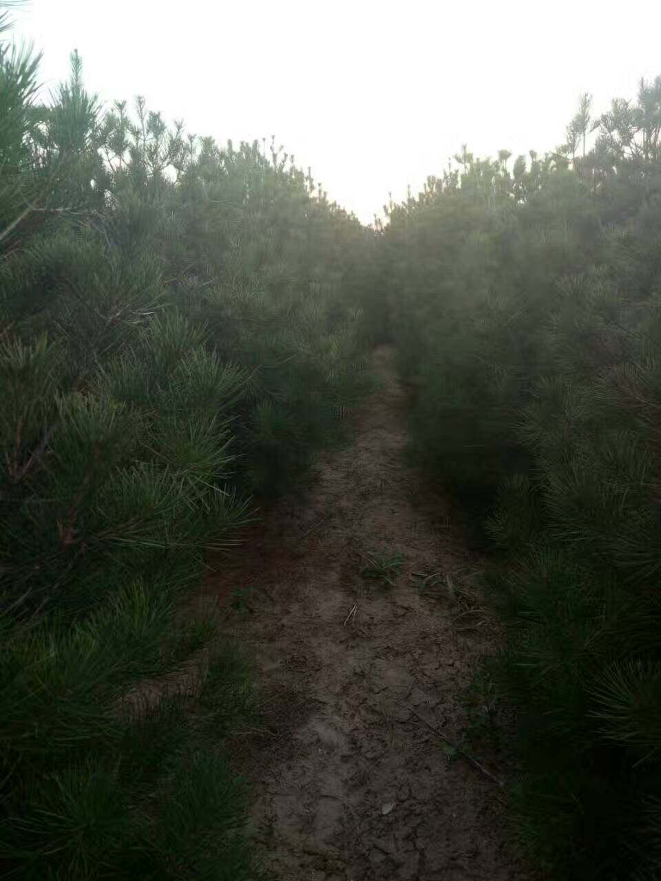 �����Ƥ���̻�������