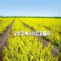 ��Ҷˮ�����ӱ���Ҷˮ������Ҷˮ������