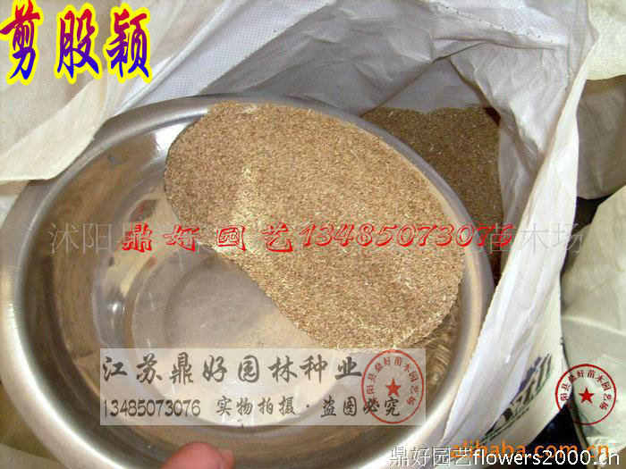 �ļ����ƺ���ӡ�����ӱ���ӡ�����ӱ���ֲ���