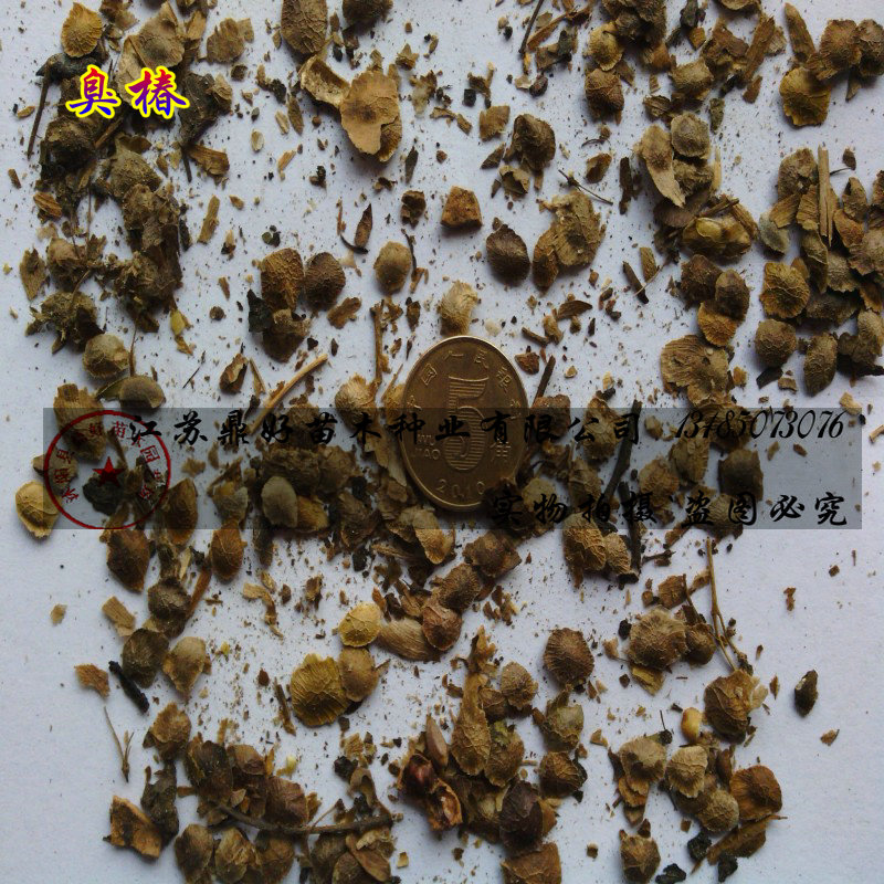 ��ľ��ľ���ӡ�����������