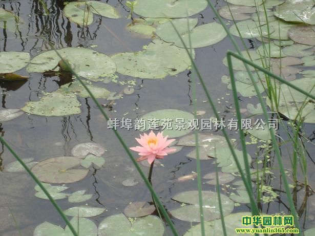 �ɻ���˯����˯���硢˯����