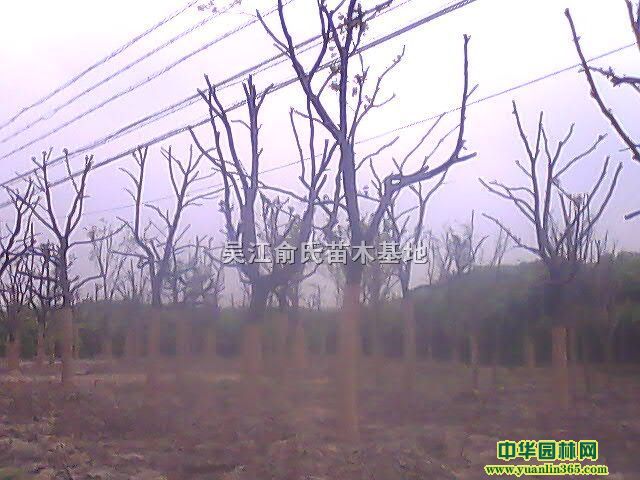 12һ30�Ǽ�����