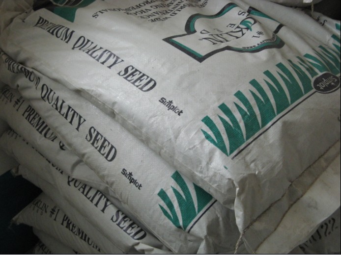 ����������Ľ���ļ��ࡢ����é������ӱ