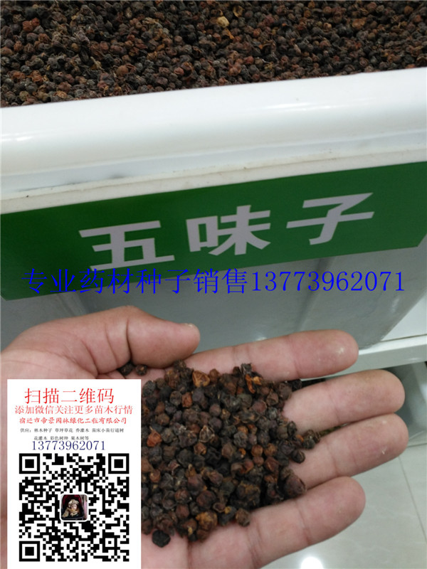 2017���²�ժ��ҩ����ζ�����Ӽ۸񡢱���58Ԫÿ�ͼƬ
