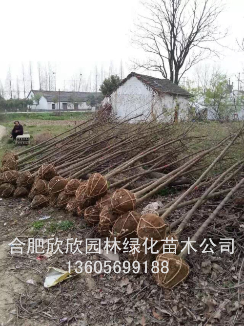 ���Ƿ�2���֡����Ƿ�3���֡����Ƿ�4���֡����Ƿ�5����