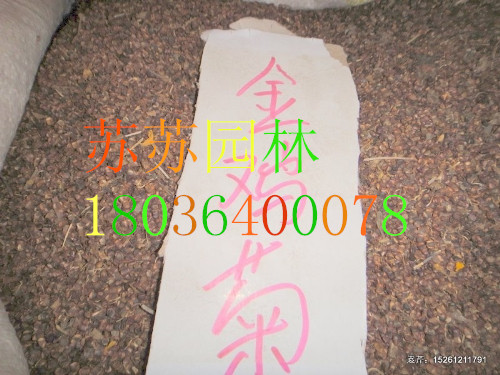 �𼦾�����