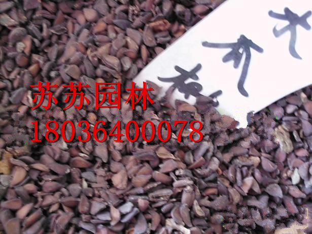 ľ�����ӡ�ľ��С�硢ľ��