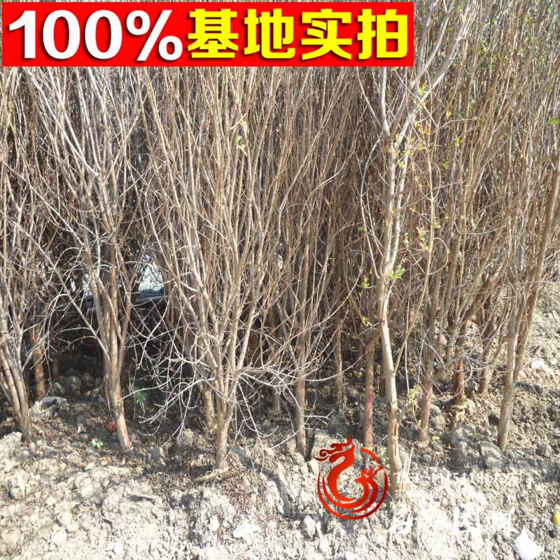 ��ʯ�񡢹�ʯ���硢��ʯ��С�硢��ʯ�񹤳���